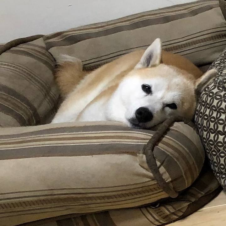 67af65e0 5235 43bf 8972 695f56a5f04c 1535668061786