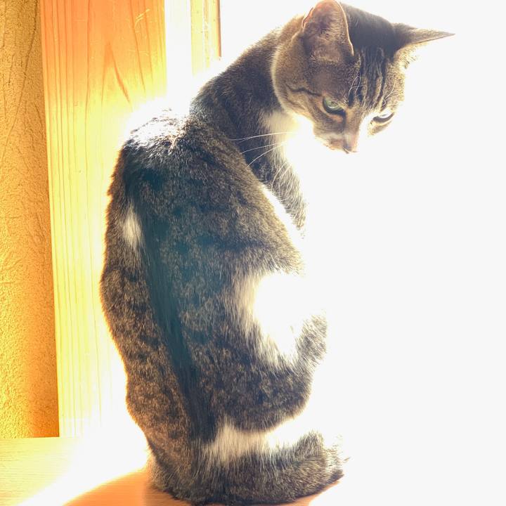 67af73d4 7fed 4913 b978 d3d6c5fadb71 1542763869965