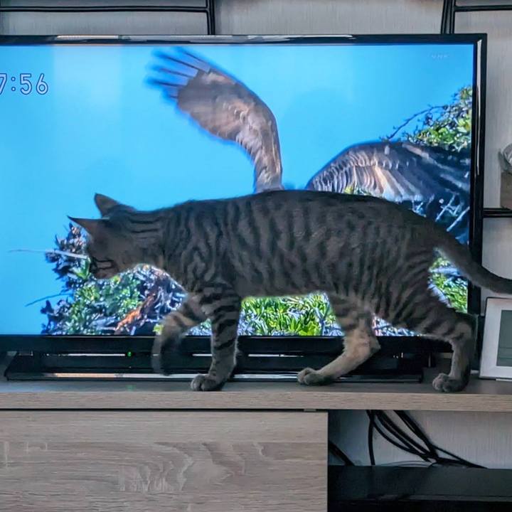 67af9b6c 1047 4638 84c2 2aeed4235d6b 1705292295697