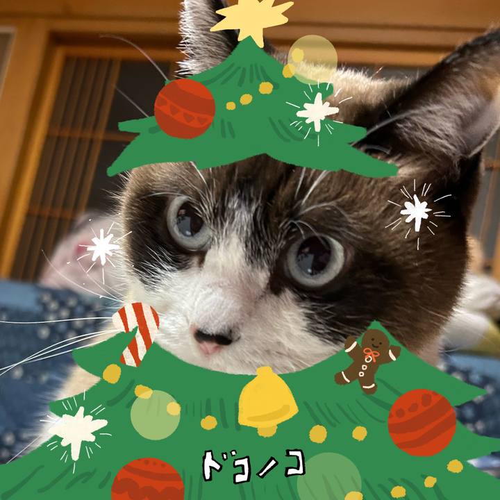 67afafc8 9789 4c25 ad97 2a4a73a3d554 1761564154026