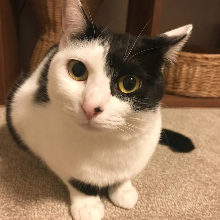 67afbd5f 686d 433d be49 9db20693cf51 1512124987290