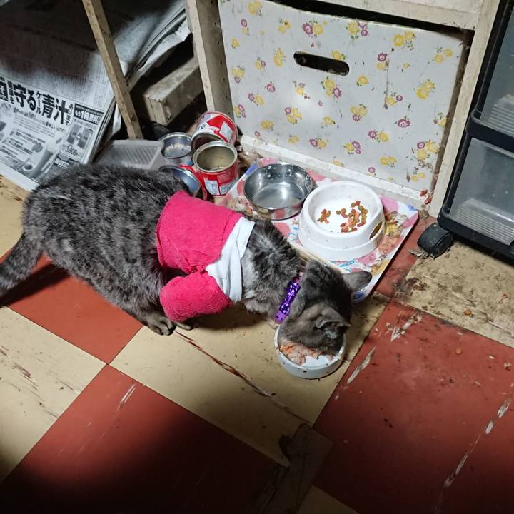 67afc9ea 4c9e 4f21 bc6c 39c5d49407b6 1586635615715