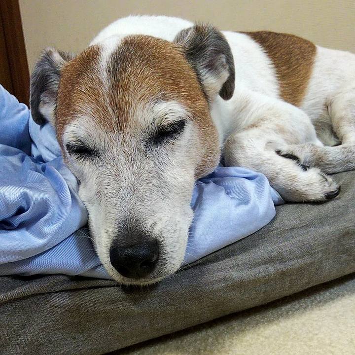 67afe1ab c37a 4d9e 9ea0 2fe3b7c50778 1563192391781