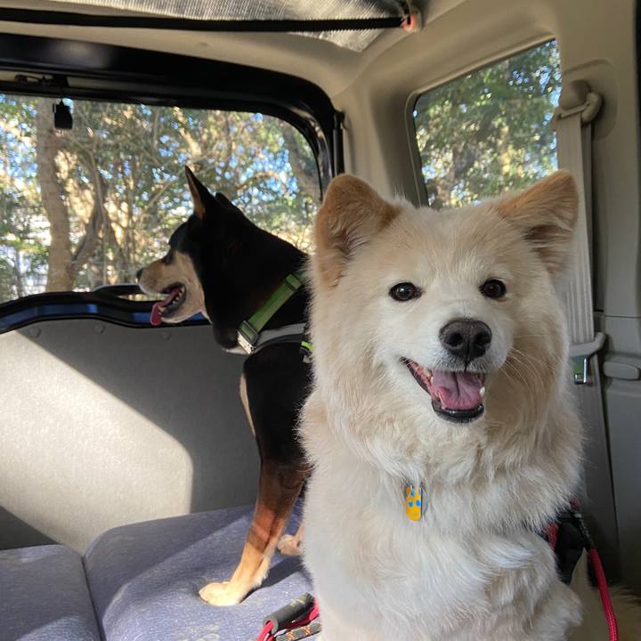 67affbb2 acf7 4e91 a455 e5c3d6708121 1678098661628