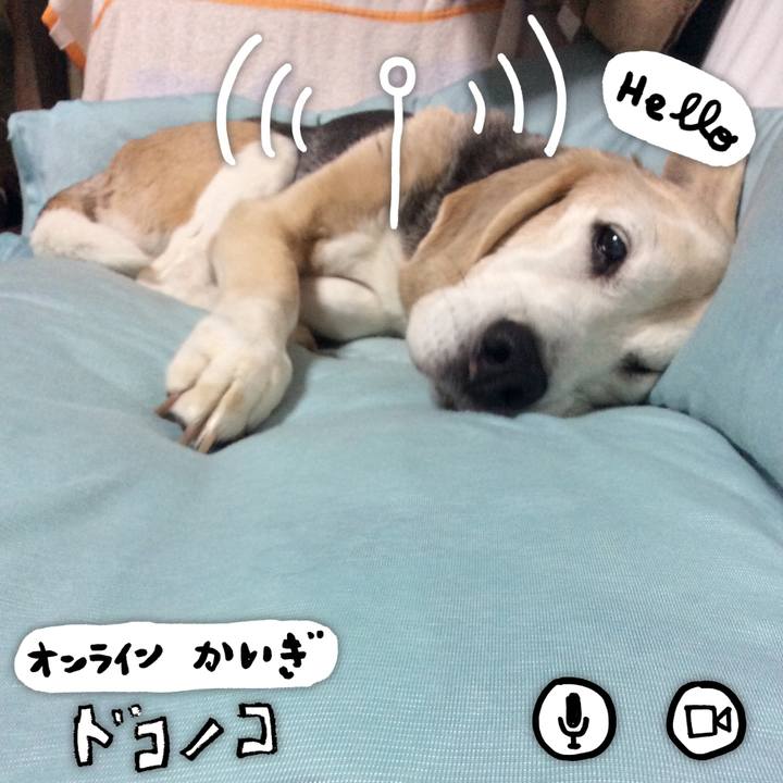 67b0000b 1d8e 464b b6cd fa35dcb64f84 1590763975611