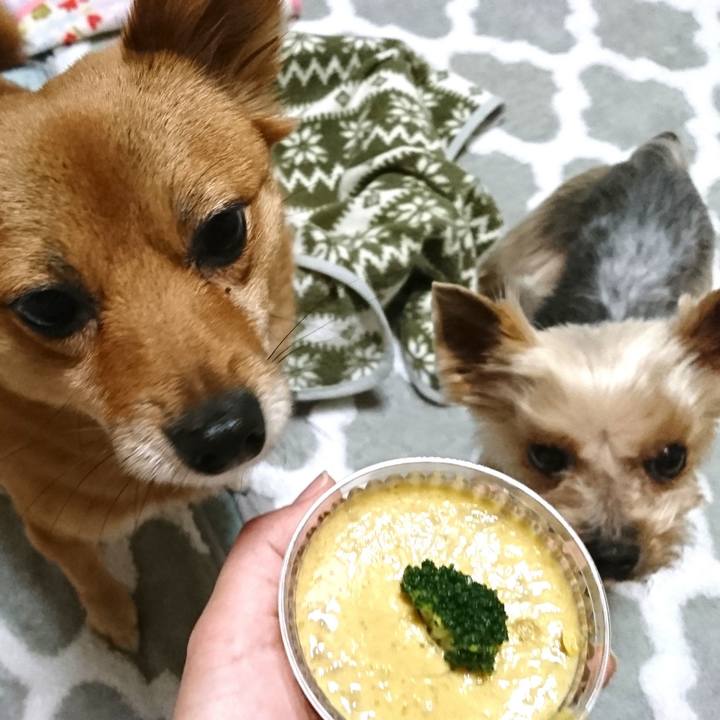 67b00a6c 61e2 401a 8381 0e715bee6a39 1552565583963