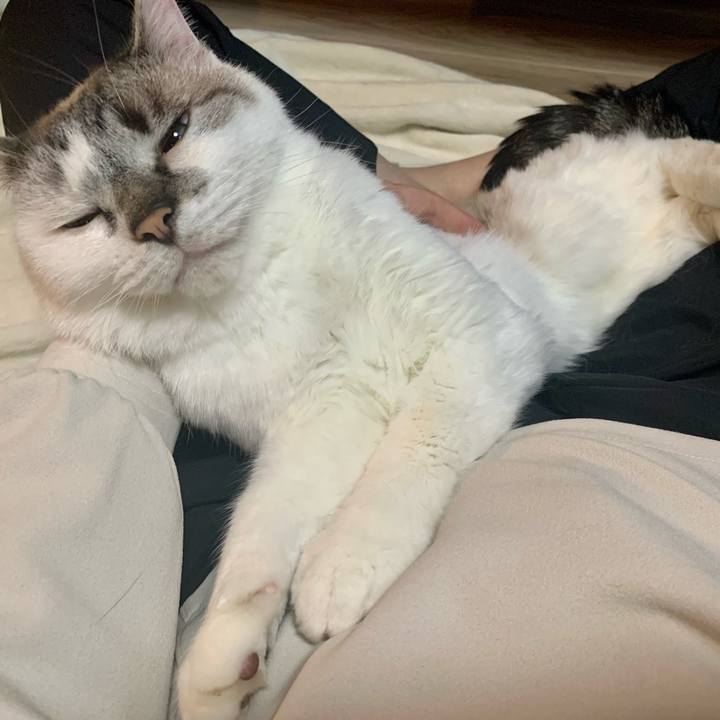 67b01995 acb5 4c9f 86f2 16264d93c3a2 1654168543002