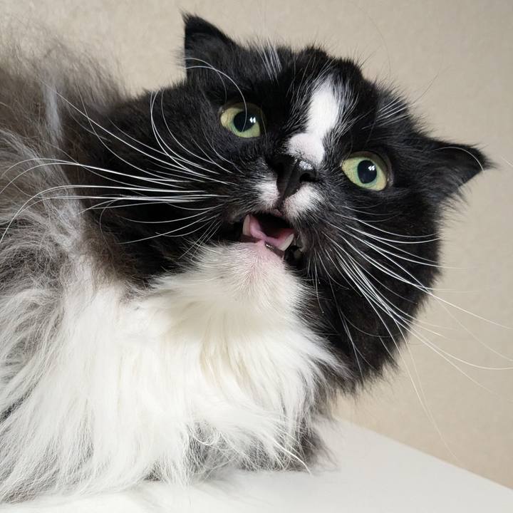 67b034f4 7448 4854 8537 33e2e7821a3f 1737817606925