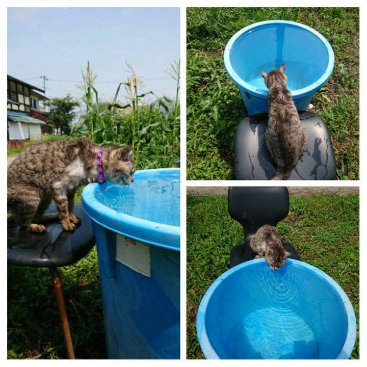 67b03769 69f5 4271 9da7 214c40f7fba6 1596686834693