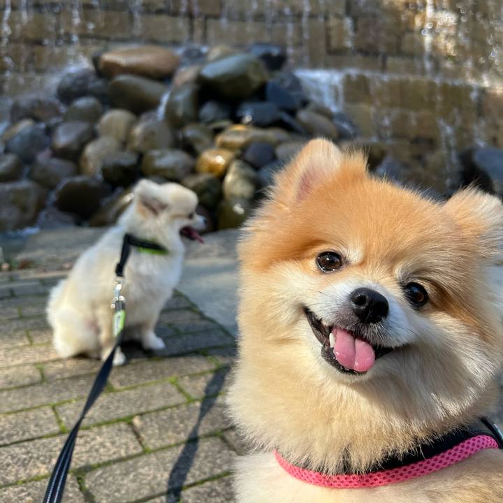 67b04cae dbab 470f 945d b53615f7ff77 1730813379070