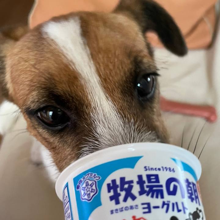 67b04d75 5957 4e66 a681 2ff24ac45877 1625964660622