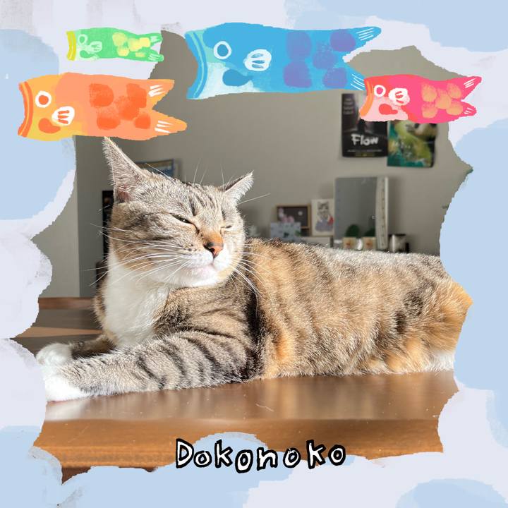 67b0d1e2 95da 4951 8b62 cb6972de3996 1749653573458