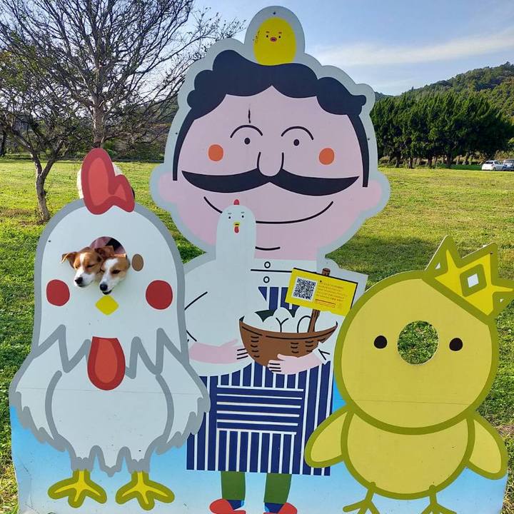 67b1089f 1c02 4435 93cf 5378b7d2af79 1762504239675