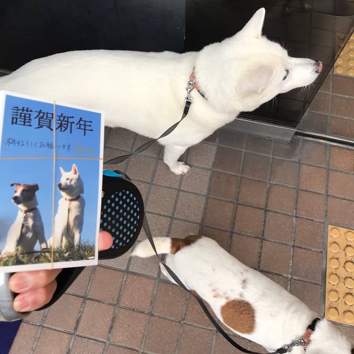 67b11007 de67 4d7e bd96 2f6331984fe9 1514082271406