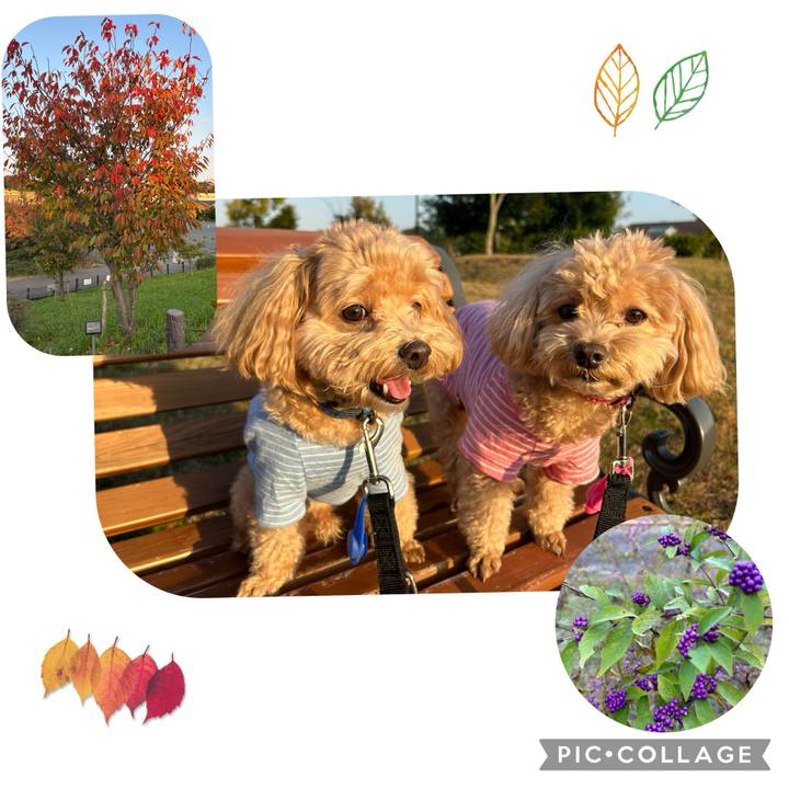 67b113c4 50c1 4f9e a913 6327c93c176e 1731408403713