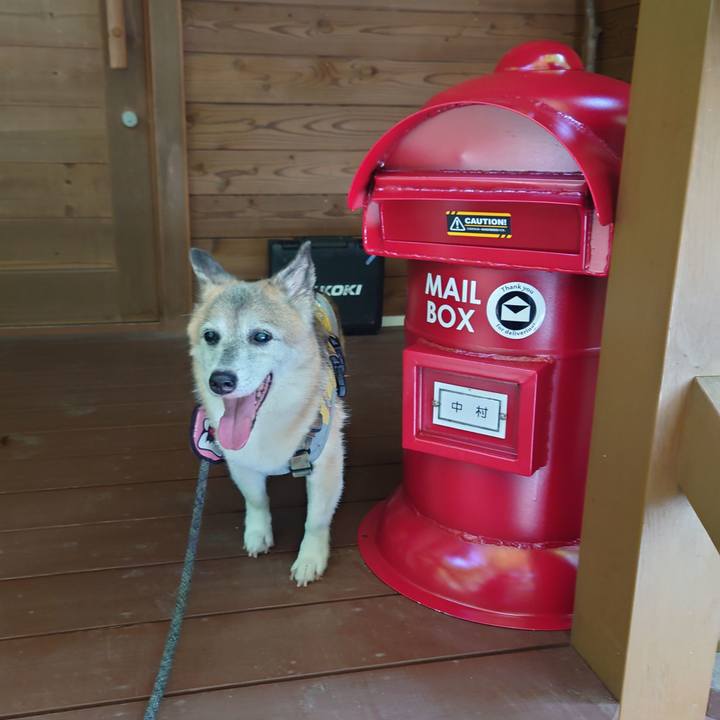 67b11bb7 124b 4ea1 9d14 2558e0dc71d0 1755151018734