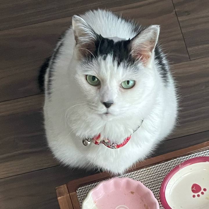 67b11db2 e274 4a28 be6f f9ddbd823575 1733442507325