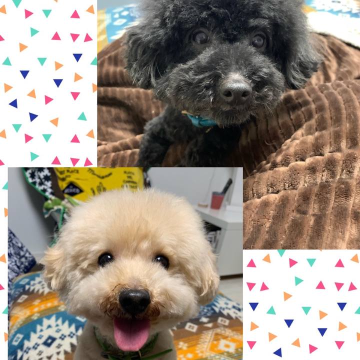 67b12740 cd1c 47c5 ab76 750c64475d66 1577536369019