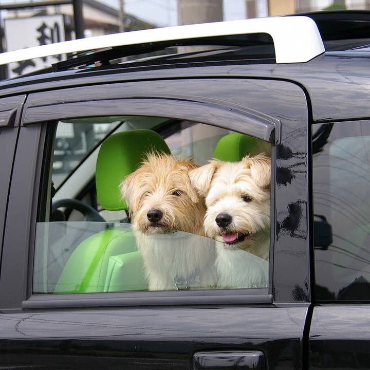 67b1422f 606e 468b 863c 6a509ab27117 1543492728435