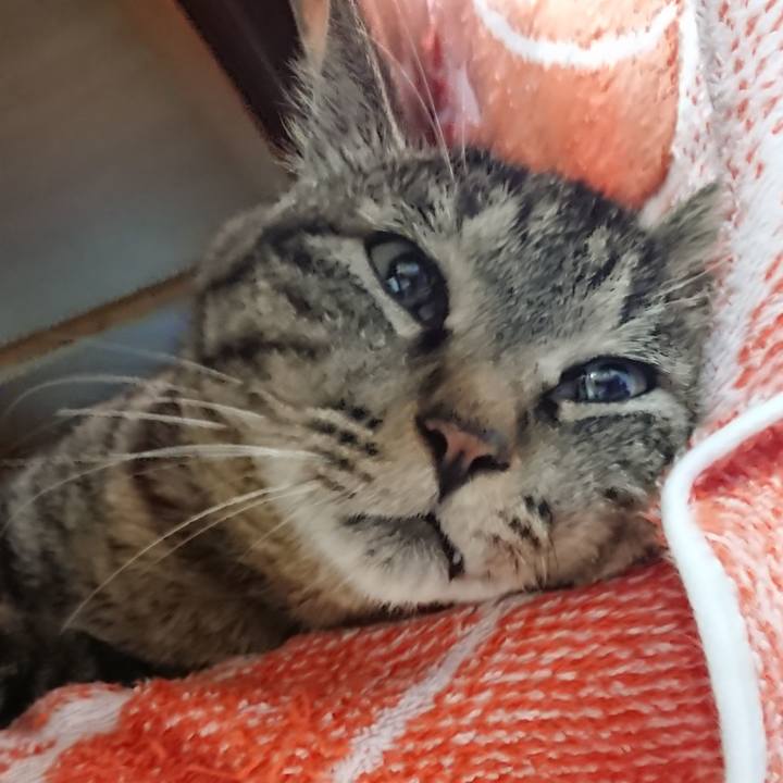 67b1616d 1976 4cf6 a313 85e33a7c6801 1650059548392