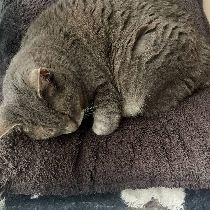 67b16bf5 14f1 41ad 914e b74db96e1b61 1620350422234