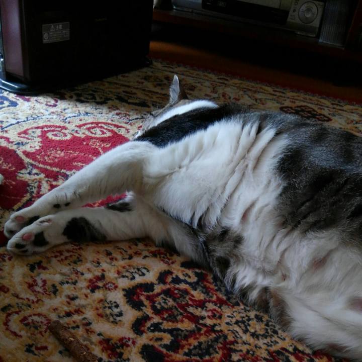 67b16cb6 3ec4 46e5 91a2 6bf677f4cc2b 1513553483901