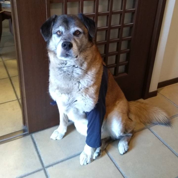 67b183bf 556b 4ddb acbb 468096da51e8 1559621972113