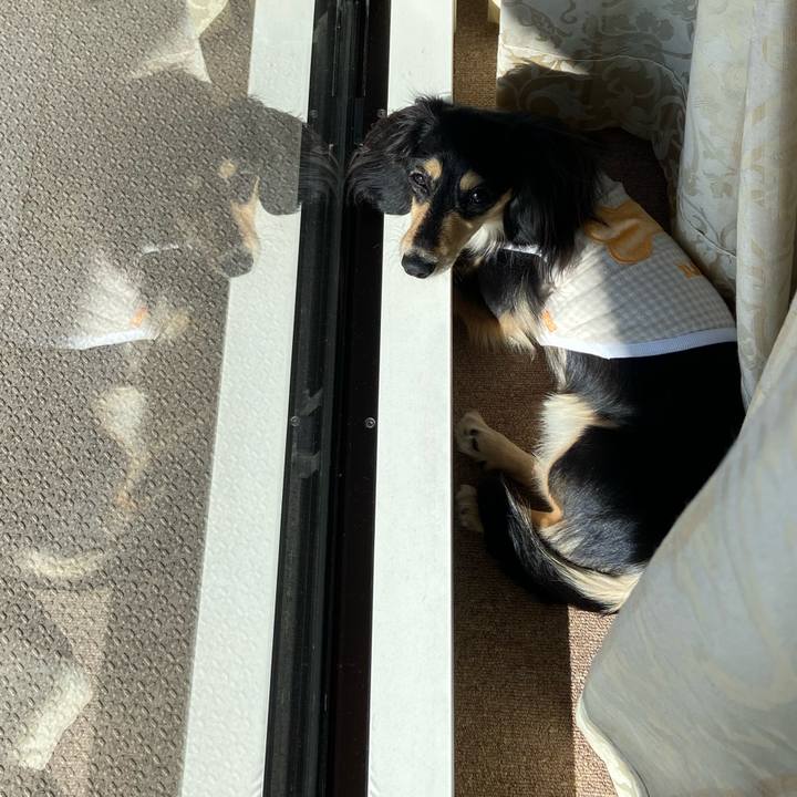 67b1adf5 ba6c 44e6 980b 83bf96af0557 1709083288033