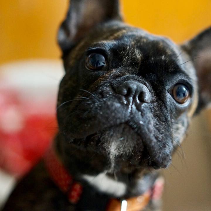 67b1c737 0d0e 4299 b71f b0e8e163128f 1513519310736