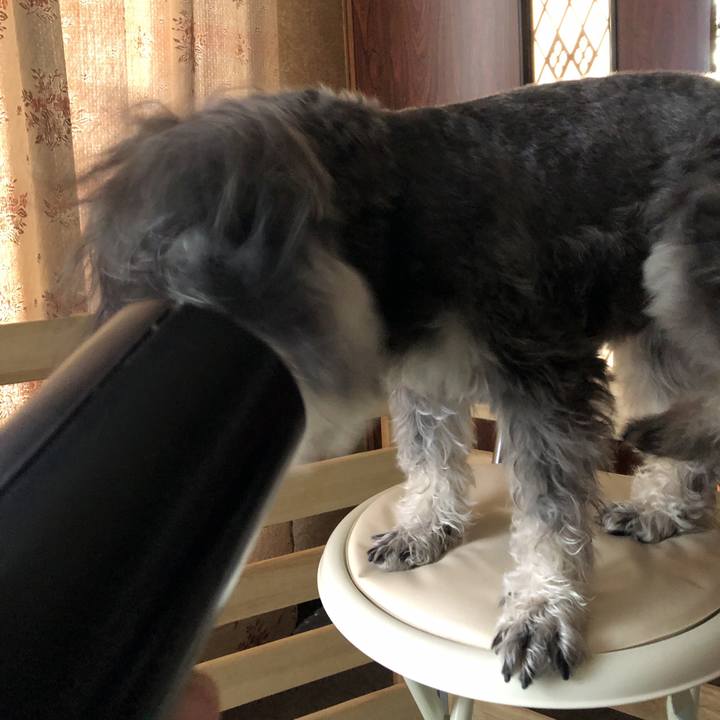 67b1cd3a 9224 4b83 b3da 926cfbadebe5 1521861379368