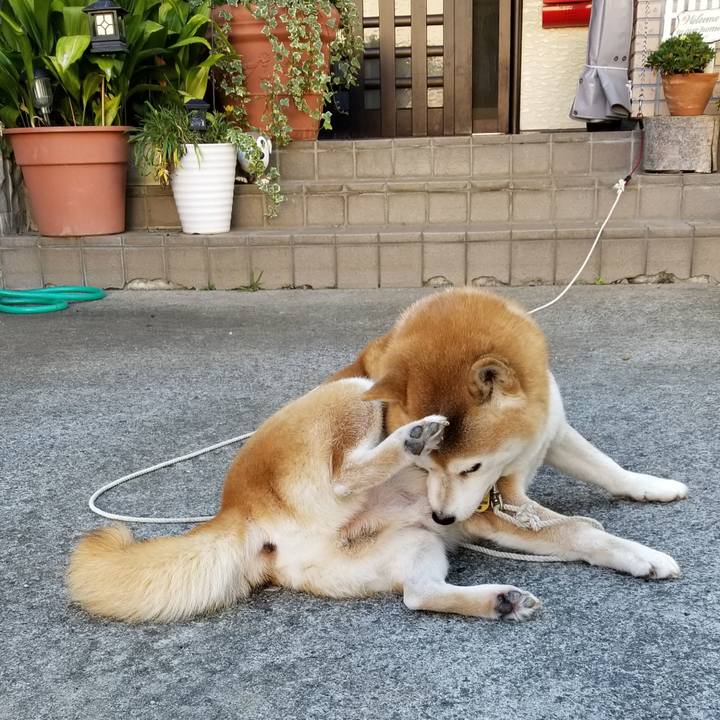 67b1cf2b 024d 4733 9d5b 18607c069732 1633907169679