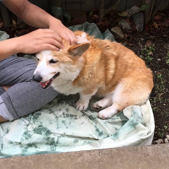 67b209ae b22d 499f a259 ec0e219c8d8a 1525326145515