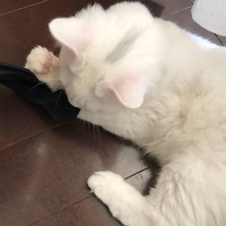 67b226fe 64ef 431d bca9 860e0b4e916d 1513307897058