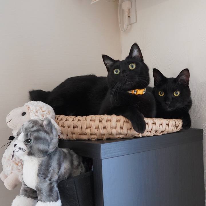 67b23c72 62a6 4a8e 9efc 61aad05cc105 1608216683635