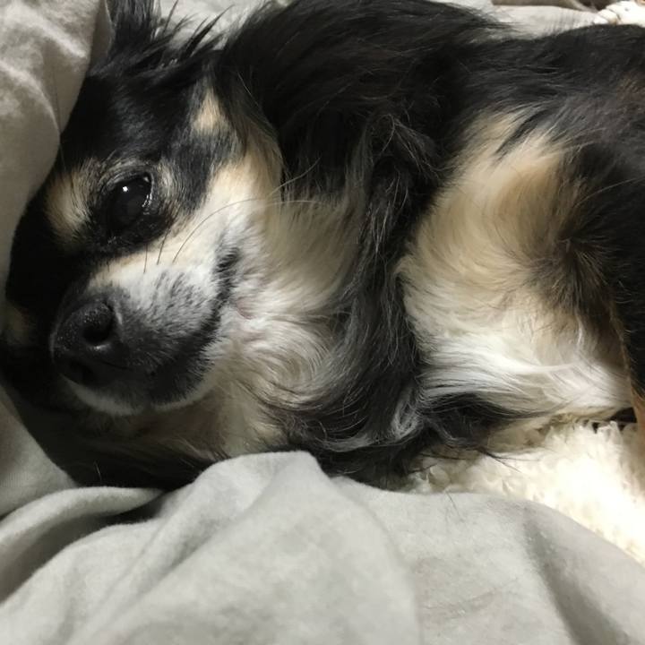 67b243e2 d975 47c2 82d9 58a4263b77b8 1511360381691