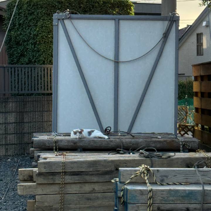 67b2494a bb34 4a73 8e80 373a30aecba8 1726535365975