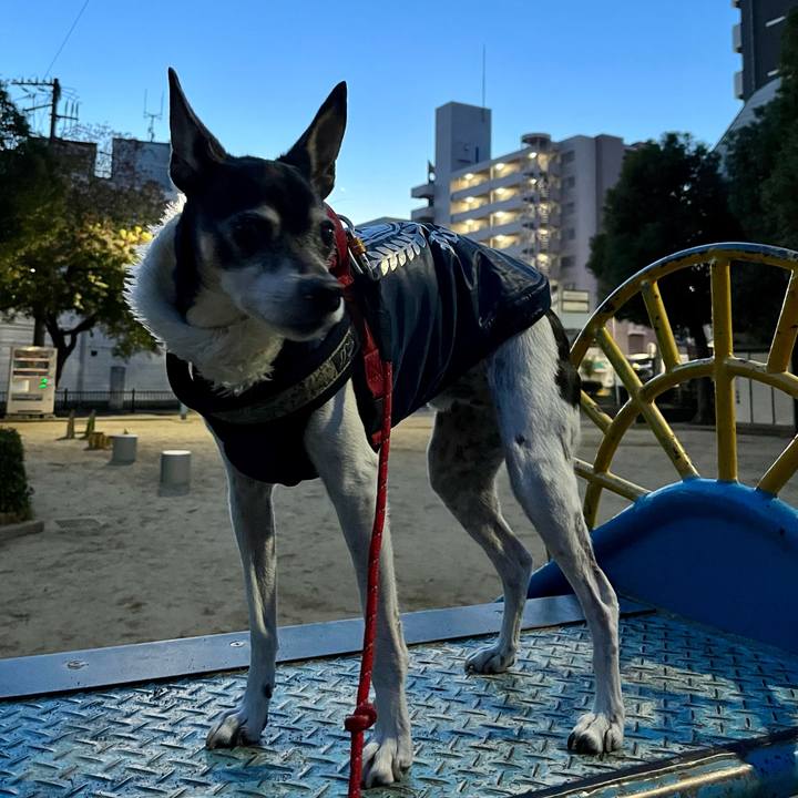 67b262da 8d37 4791 a9f1 66fb38b43b38 1638481709093