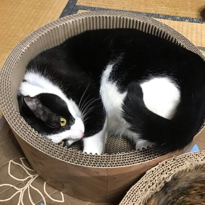 67b26696 7416 4c4c 9858 dad5bc1b5051 1697010095872