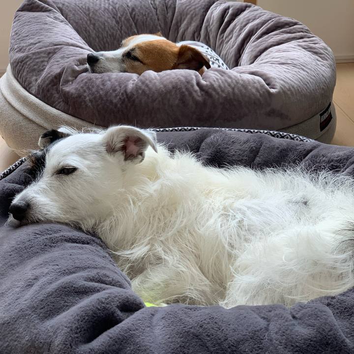 67b2825b 0581 4b2b a9e0 6852e2638045 1593224487888