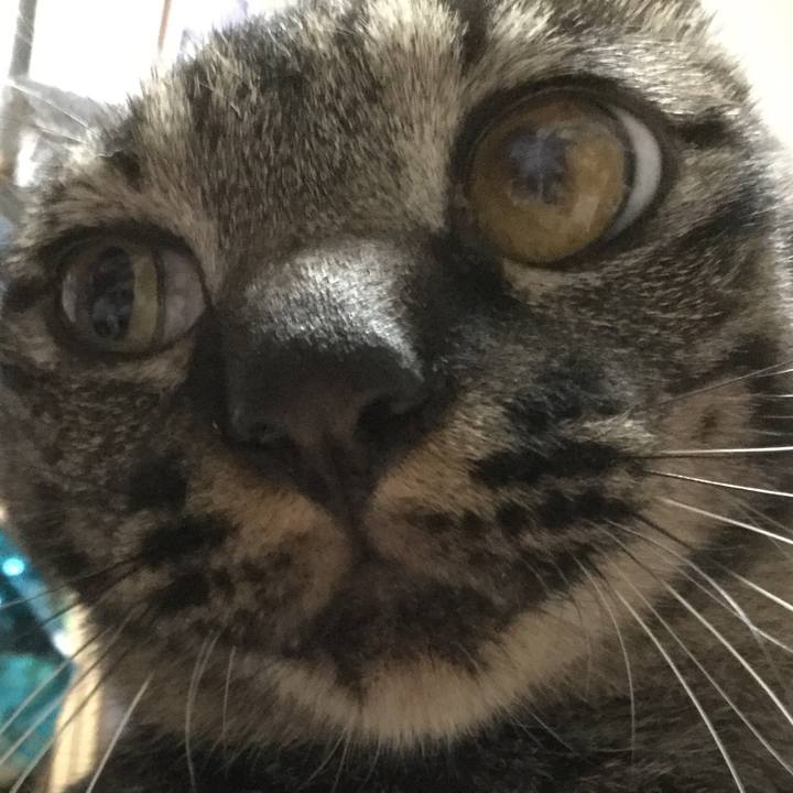 67b28c3d faf7 410a b09c c3edc0c8a752 1566560798012