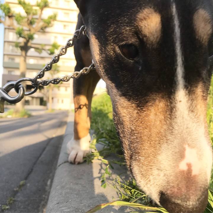 67b2a688 e5bf 4b14 9674 31b53c070492 1525521398155