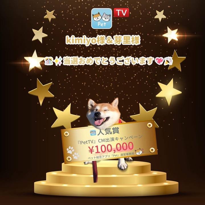 67b2b872 8852 46ac a980 dde35b404894 1649197292422