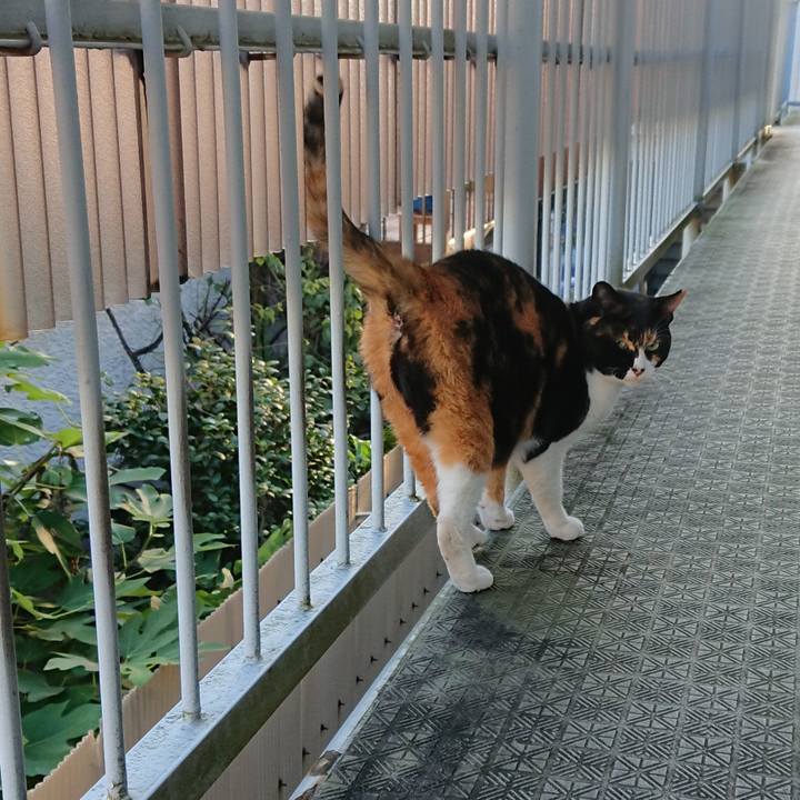 67b2f719 334e 4cbf b8c6 3e775cfe18a9 1603236072785