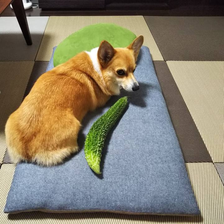 67b33cf2 8bf9 40a7 972d 45f23b7406aa 1538211234816