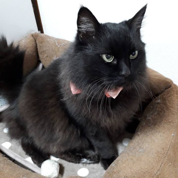 67b349d2 531d 4023 bbdc 3206536dce89 1521145574450