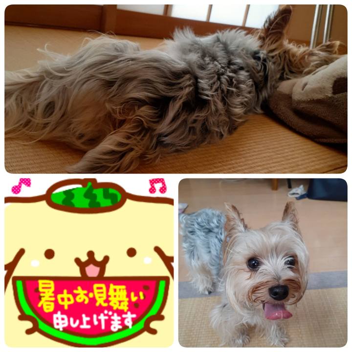 67b38e2d a0b0 4c51 b777 745282658ebd 1564968794275