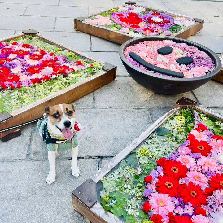 67b3a3fd 5871 4da1 b825 47a005783a92 1740640073803