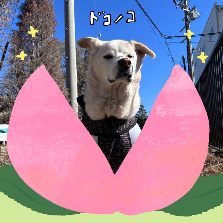 67b3afad a7f7 43fd bbf8 c8159b190b10 1771828137933