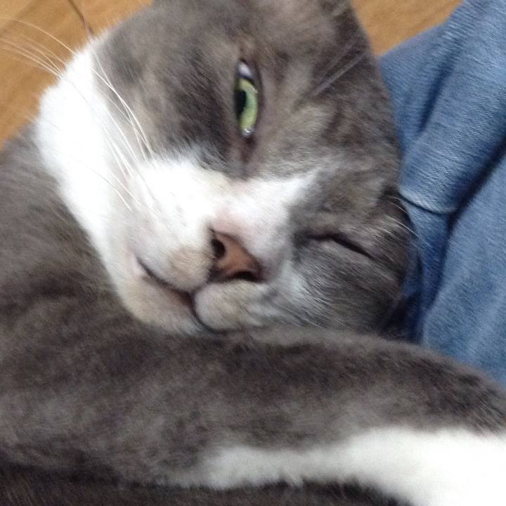 67b3b1ba 58dc 4de6 a831 c6621c64fc77 1534377252016