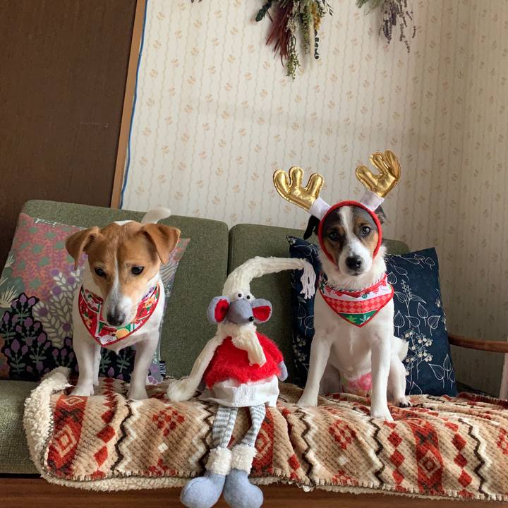 67b3b86f 5f41 4499 b822 81afeee1d19e 1577135183759